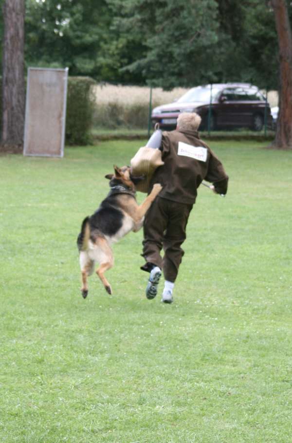 C Dasty Kurze Flucht.jpg